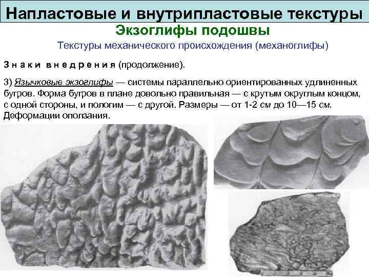 Напластовые и внутрипластовые текстуры Экзоглифы подошвы Текстуры механического происхождения (механоглифы) З н а к