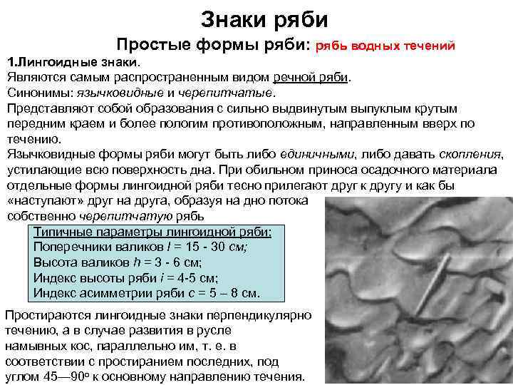 Знаки ряби Простые формы ряби: рябь водных течений 1. Лингоидные знаки. Являются самым распространенным