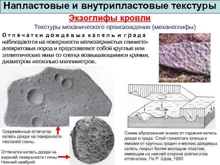 Напластовые и внутрипластовые текстуры Экзоглифы кровли Текстуры механического происхождения (механоглифы) Отпечатки дождевых капель и