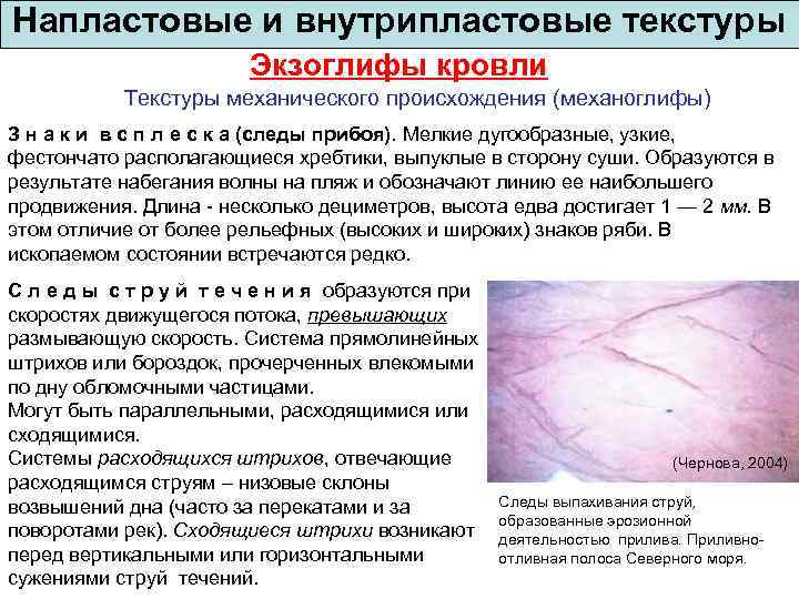 Напластовые и внутрипластовые текстуры Экзоглифы кровли Текстуры механического происхождения (механоглифы) З н а к