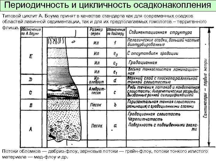 Периодичность и цикличность осадконакопления Типовой циклит А. Боума принят в качестве стандарта как для