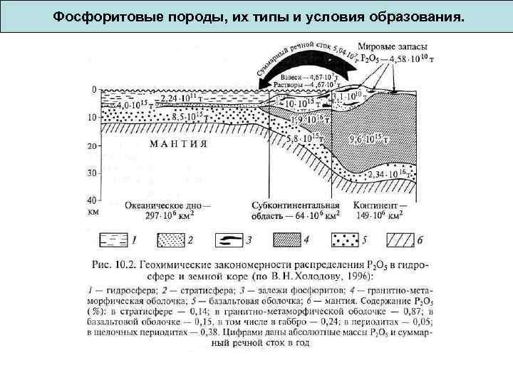 Фосфоритовые породы, их типы и условия образования. 