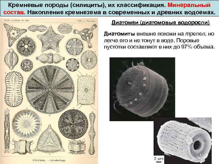 Кремневые породы (силициты), их классификация. Минеральный состав. Накопление кремнезема в современных и древних водоемах.