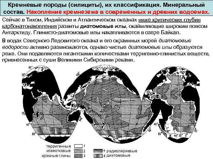 Кремневые породы (силициты), их классификация. Минеральный состав. Накопление кремнезема в современных и древних водоемах.