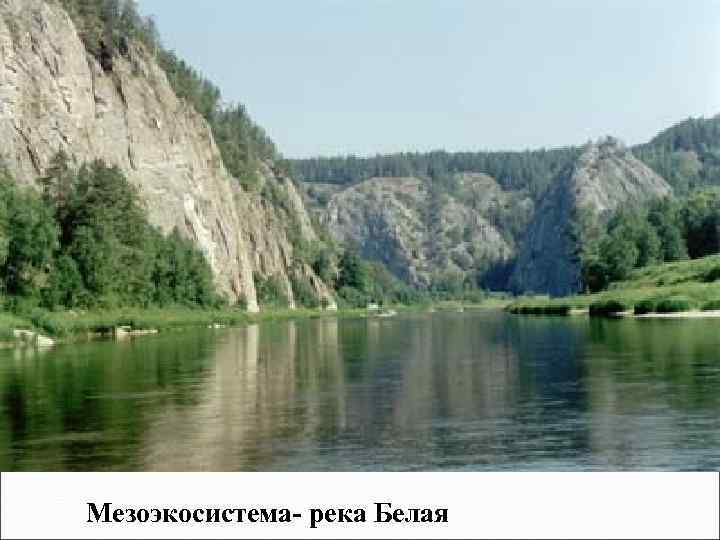 Мезоэкосистема- река Белая 