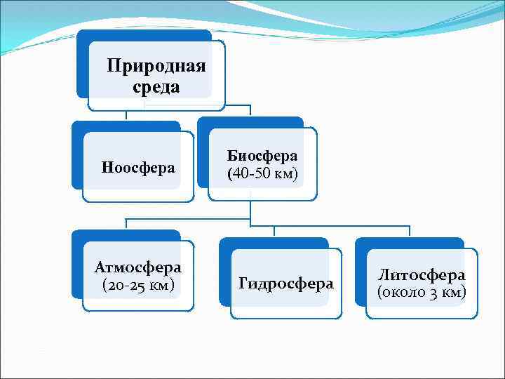 Природная среда Ноосфера Атмосфера (20 -25 км) Биосфера (40 -50 км) Гидросфера Литосфера (около
