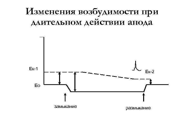 Изменения возбудимости при длительном действии анода Ек-1 Ек-2 Ео замыкание размыкание 