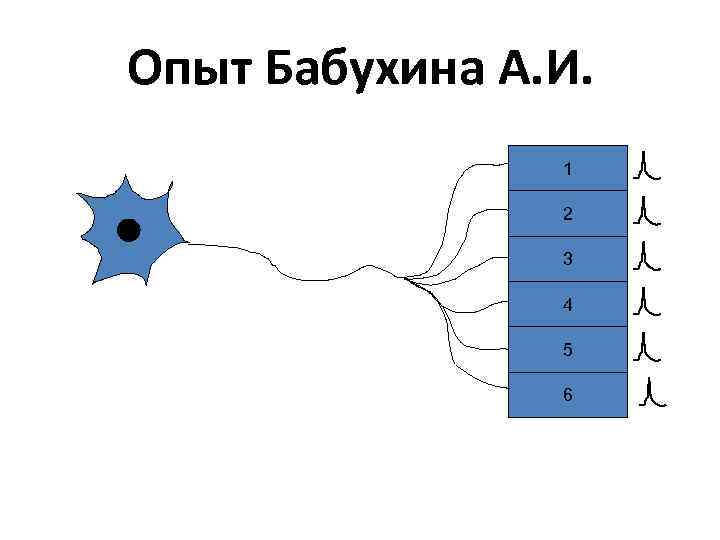 Опыт Бабухина А. И. 1 2 3 4 5 6 