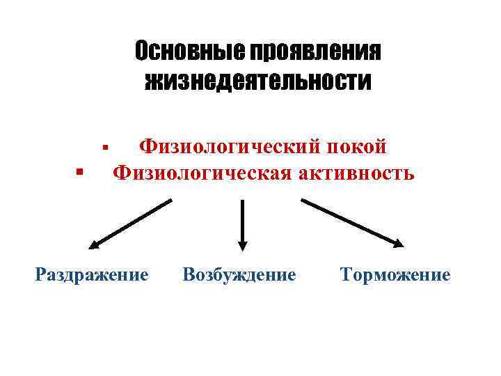 Физиологическая активность