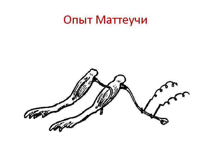 Опыт Маттеучи 