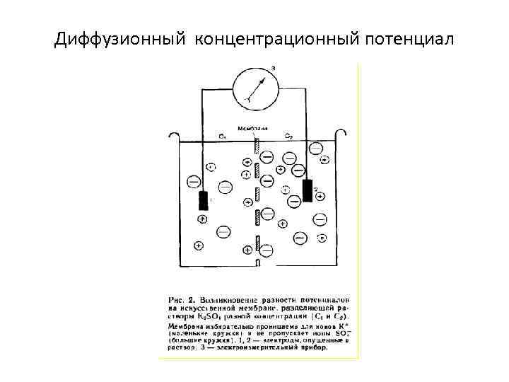 Диффузионный концентрационный потенциал 