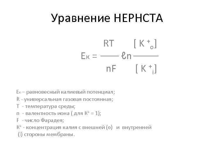 Уравнение НЕРНСТА Ек = RT n. F ℓn [ K +o ] [ K