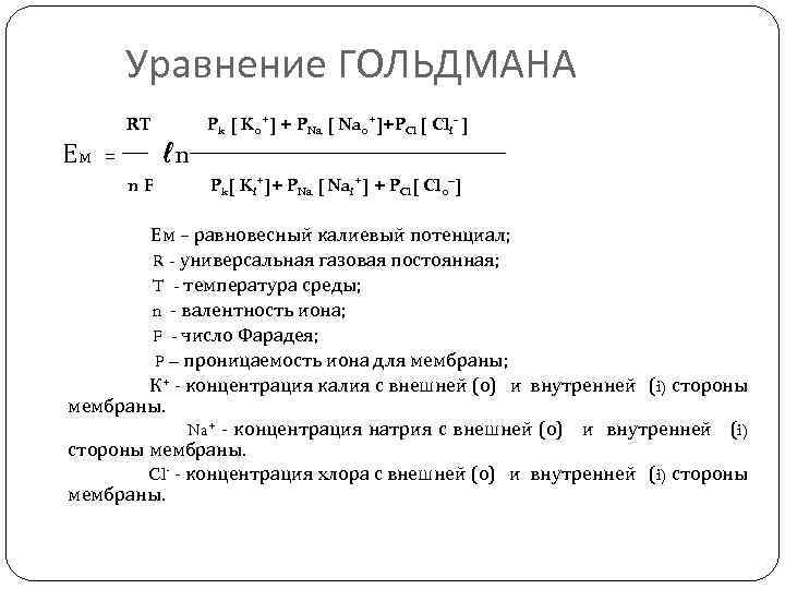 Уравнение ГОЛЬДМАНА Ем RT = n. F ℓn Pk [ Ko+] + PNa [