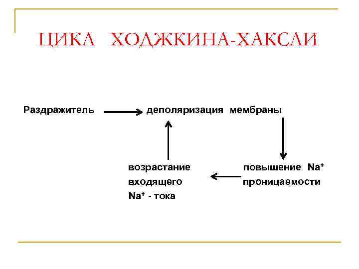 ЦИКЛ ХОДЖКИНА-ХАКСЛИ Раздражитель деполяризация мембраны возрастание входящего Na+ - тока повышение Na+ проницаемости 