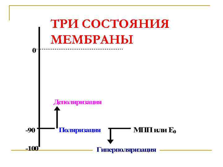 ТРИ СОСТОЯНИЯ МЕМБРАНЫ 