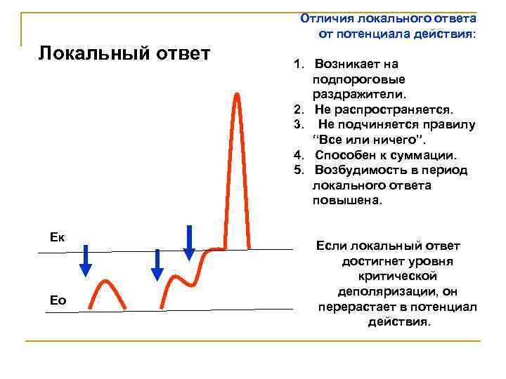 Отличия локального ответа от потенциала действия: Локальный ответ Eк Eo 1. Возникает на подпороговые