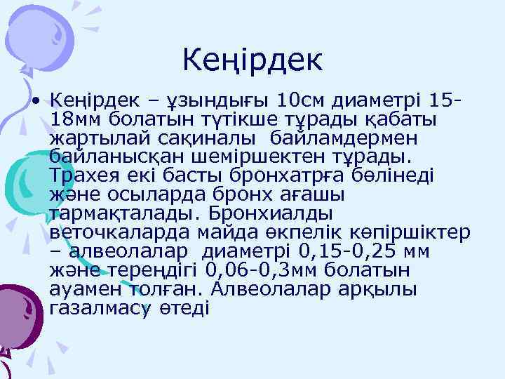 Кеңірдек • Кеңірдек – ұзындығы 10 см диаметрі 1518 мм болатын түтікше тұрады қабаты