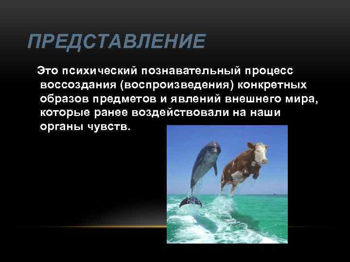 ПРЕДСТАВЛЕНИЕ Это психический познавательный процесс воссоздания (воспроизведения) конкретных образов предметов и явлений внешнего мира,