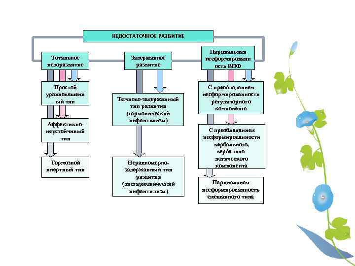 НЕДОСТАТОЧНОЕ РАЗВИТИЕ Тотальное недоразвитие Простой уравновешенн ый тип Аффективнонеустойчивый тип Тормозной инертный тип Задержанное