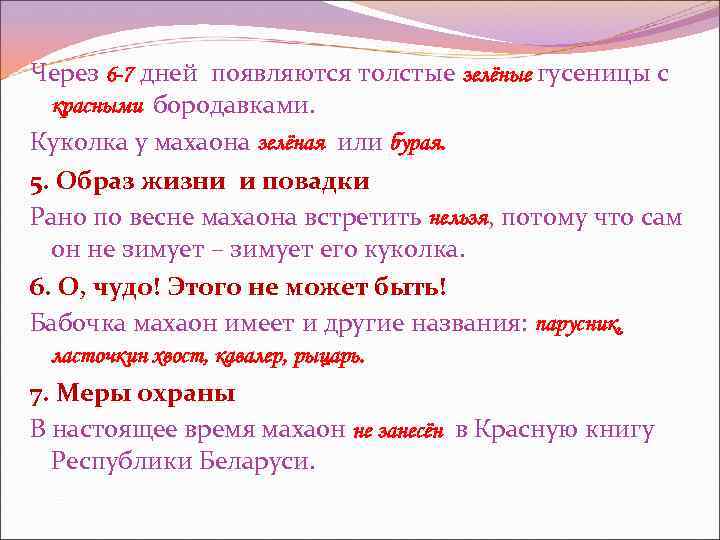 Через 6 -7 дней появляются толстые зелёные гусеницы с красными бородавками. Куколка у махаона