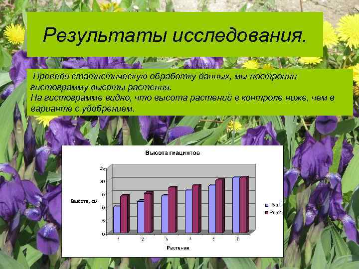 Результаты исследования. Проведя статистическую обработку данных, мы построили гистограмму высоты растения. На гистограмме видно,