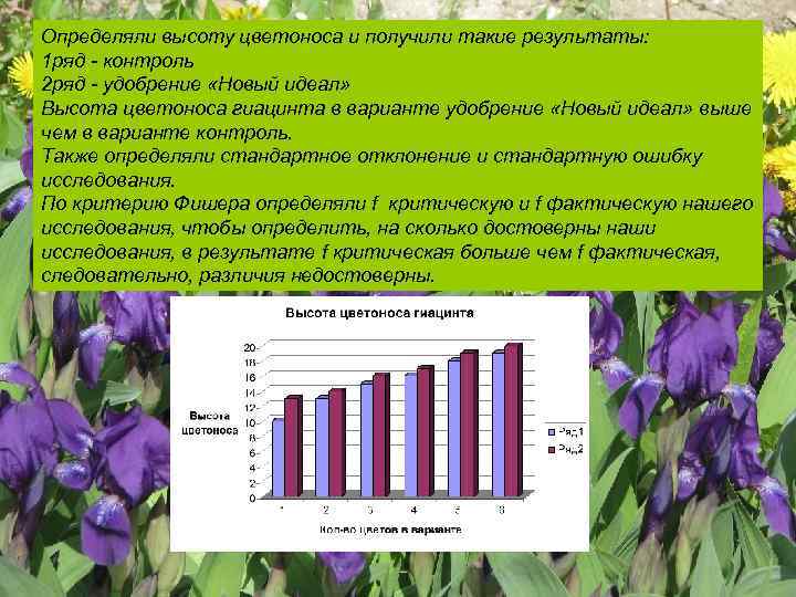 Определяли высоту цветоноса и получили такие результаты: 1 ряд - контроль 2 ряд -