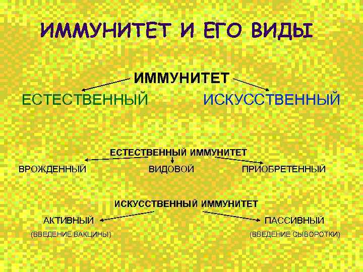 ИММУНИТЕТ И ЕГО ВИДЫ ИММУНИТЕТ ЕСТЕСТВЕННЫЙ ИСКУССТВЕННЫЙ ЕСТЕСТВЕННЫЙ ИММУНИТЕТ ВРОЖДЕННЫЙ ВИДОВОЙ ПРИОБРЕТЕННЫЙ ИСКУССТВЕННЫЙ ИММУНИТЕТ