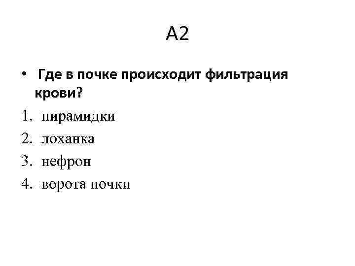 А 2 • Где в почке происходит фильтрация крови? 1. пирамидки 2. лоханка 3.