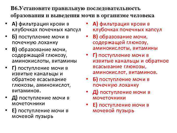  • • • В 6. Установите правильную последовательность образования и выведения мочи в