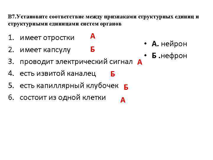 В 7. Установите соответствие между признаками структурных единиц и структурными единицами систем органов 1.