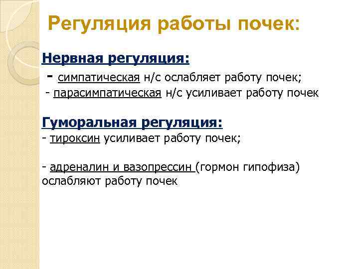Регуляция работы почек: Нервная регуляция: - симпатическая н/с ослабляет работу почек; - парасимпатическая н/с