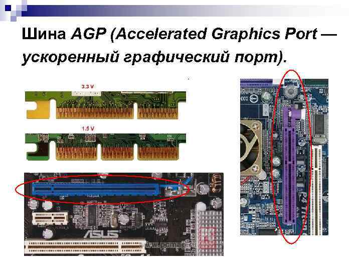 Шина AGP (Accelerated Graphics Port — ускоренный графический порт). 