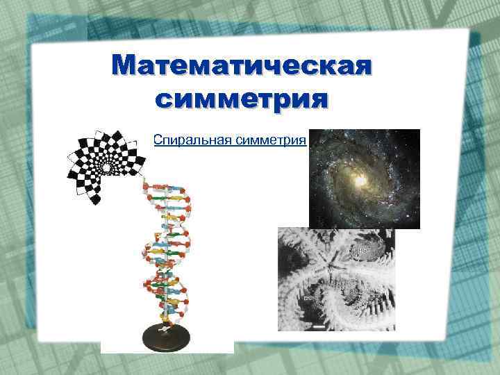 Математическая симметрия Спиральная симметрия 