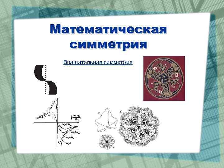 Математическая симметрия Вращательная симметрия 