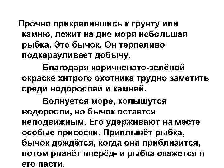 Прочно прикрепившись к грунту или камню, лежит на дне моря небольшая рыбка. Это бычок.