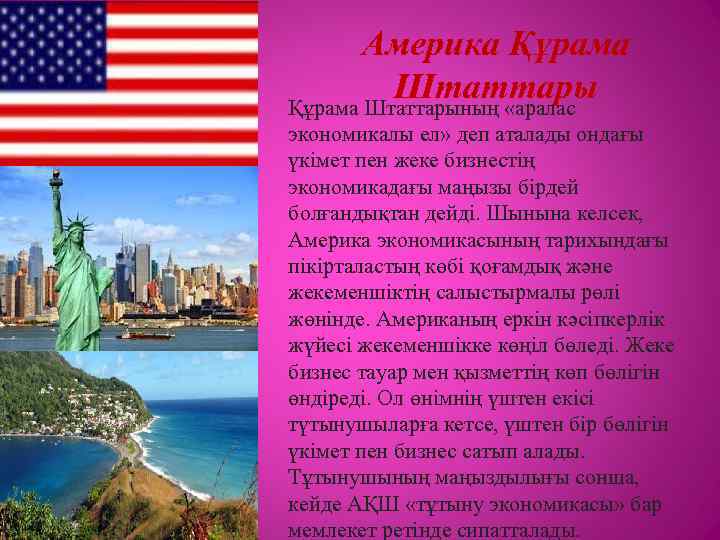 Америка Құрама Штаттарының «аралас экономикалы ел» деп аталады ондағы үкімет пен жеке бизнестің экономикадағы