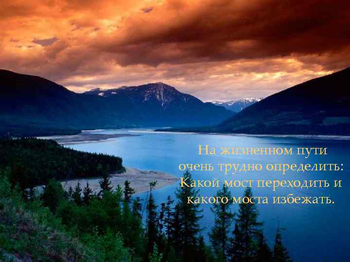 На жизненном пути очень трудно определить: Какой мост переходить и какого моста избежать. 