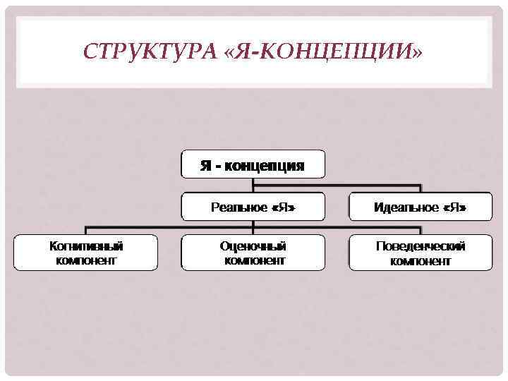 СТРУКТУРА «Я-КОНЦЕПЦИИ» 