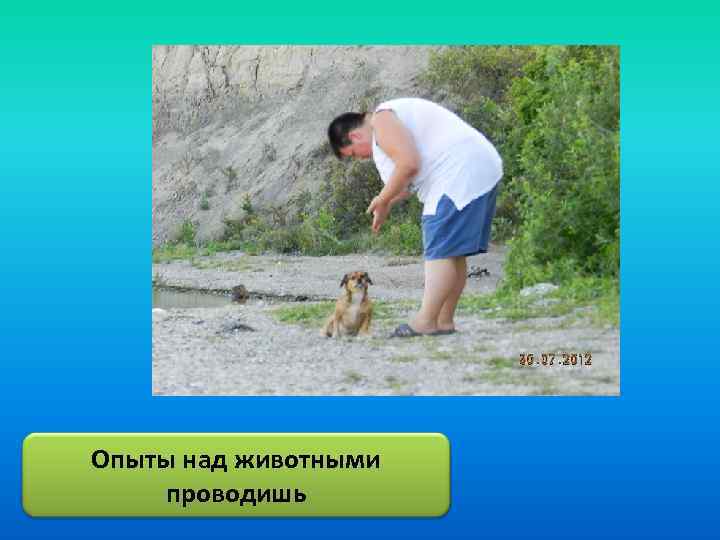 Опыты над животными проводишь 