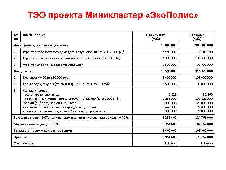 ТЭО проекта Миникластер «Эко. Полис» № пп Наименование Инвестиции для организации, всего ЛПХ или