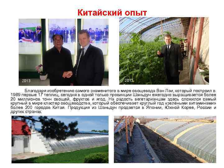 Китайский опыт 2013 Благодаря изобретению самого знаменитого в мире овощевода Ван Лэи, который построил