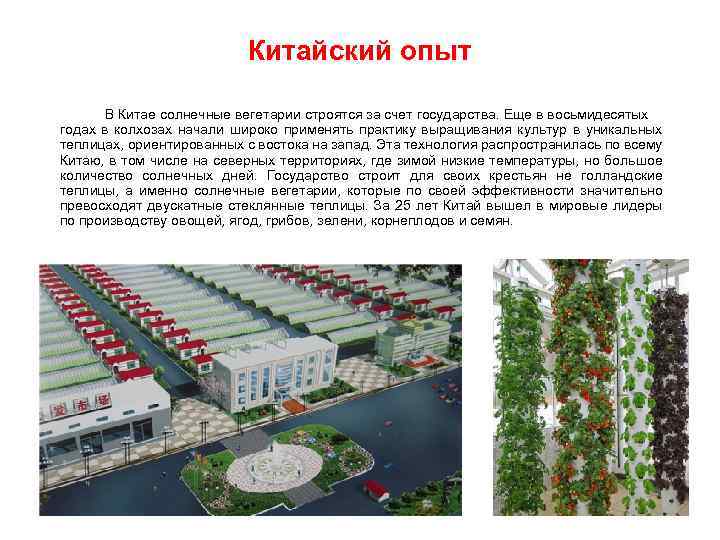 Китайский опыт В Китае солнечные вегетарии строятся за счет государства. Еще в восьмидесятых годах