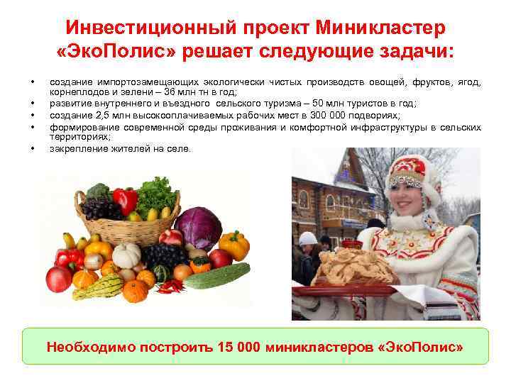 Инвестиционный проект Миникластер «Эко. Полис» решает следующие задачи: • • • создание импортозамещающих экологически