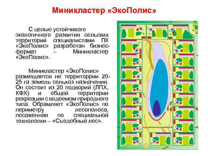 Миникластер «Эко. Полис» С целью устойчивого экологичного развития сельских территорий специалистами ПК «Эко. Полис»