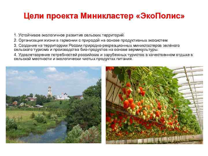 Цели проекта Миникластер «Эко. Полис» 1. Устойчивое экологичное развитие сельских территорий. 2. Организация жизни