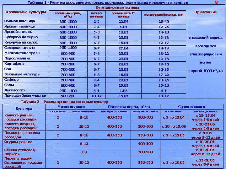 Периодичность полива овощных культур