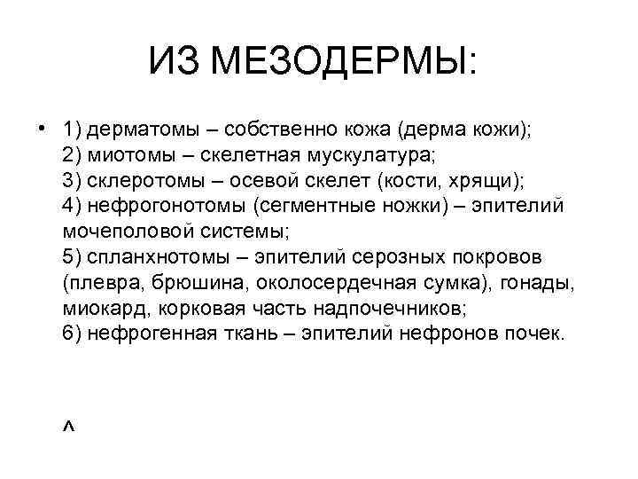 ИЗ МЕЗОДЕРМЫ: • 1) дерматомы – собственно кожа (дерма кожи); 2) миотомы – скелетная