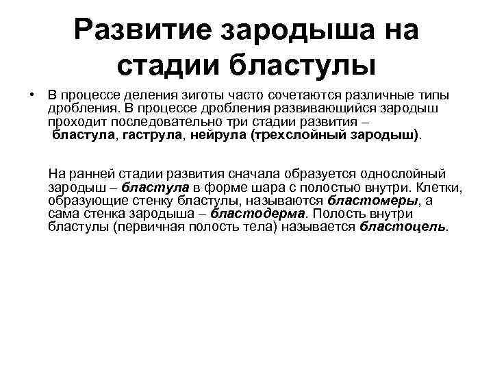 Развитие зародыша на стадии бластулы • В процессе деления зиготы часто сочетаются различные типы