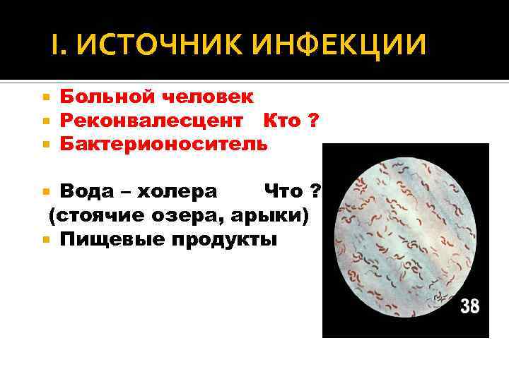 I. ИСТОЧНИК ИНФЕКЦИИ Больной человек Реконвалесцент Кто ? Бактерионоситель Вода – холера Что ?