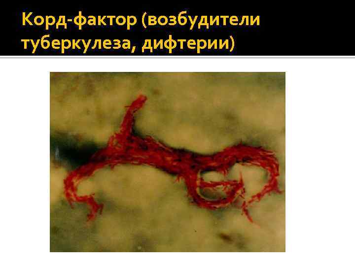 Корд-фактор (возбудители туберкулеза, дифтерии) 